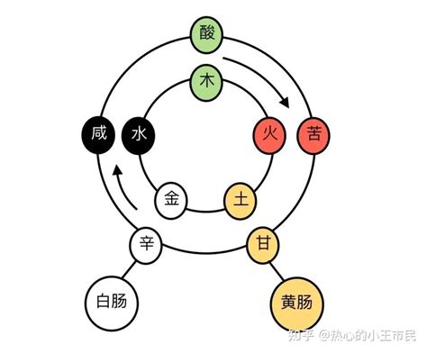 五行 胃|六腑（二）：胃者，仓廪之官，五味出焉 – 中医锦囊